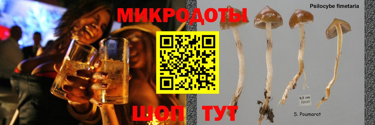 Липецк  Псилоцибиновые грибы Cubensis  Вход с VPN 